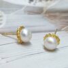Pearl Studs
