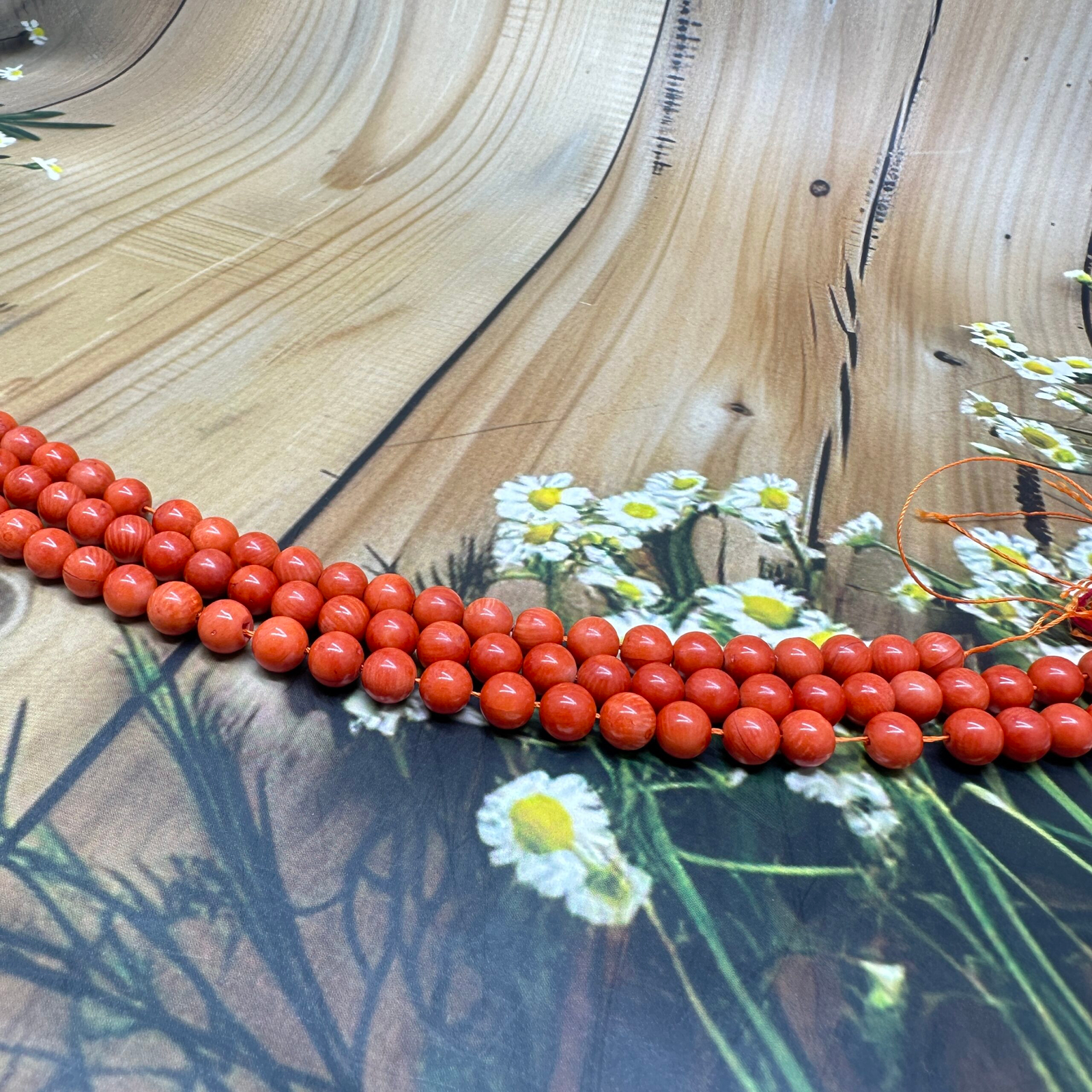 8 MM Loose Corals - Image 2