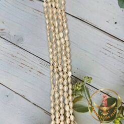 10 mm Mother Of Pearls