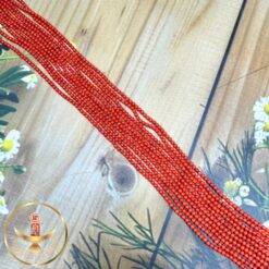2.5 mm corals