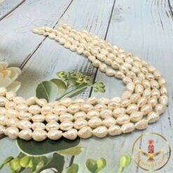 10 mm Mother Of Pearls